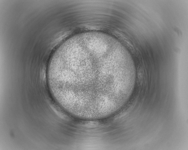 X0000115260398200911271930