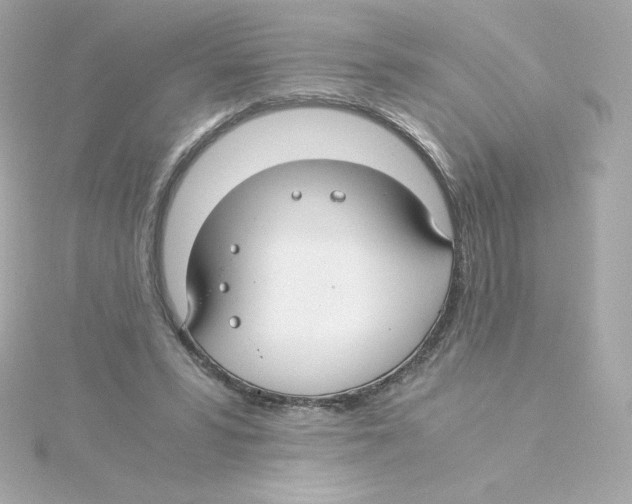 X0000115260399200911271930