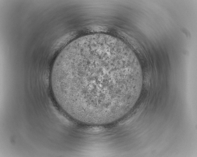 X0000115260402200911271930