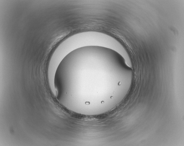 X0000115260403200911271930