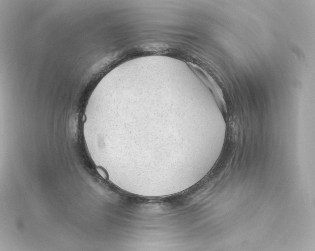 X0000115260404200911271929