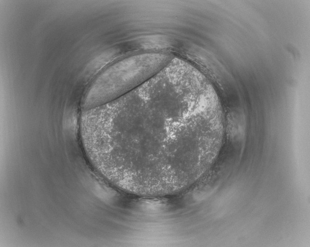 X0000115260405200911271929