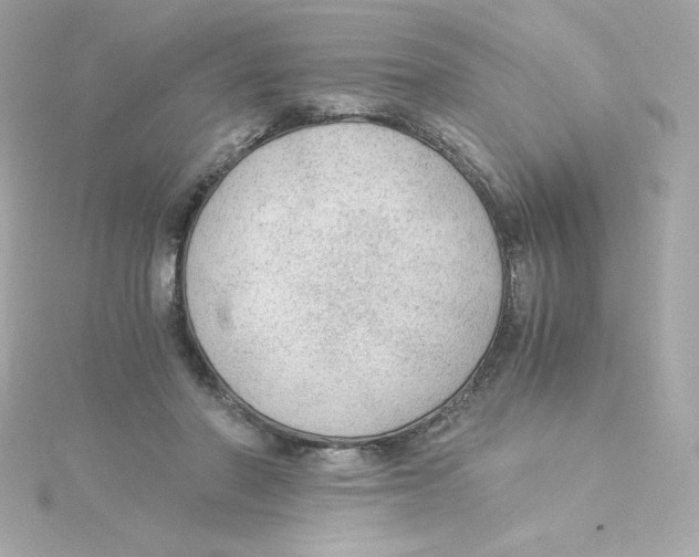 X0000115260406200911271929