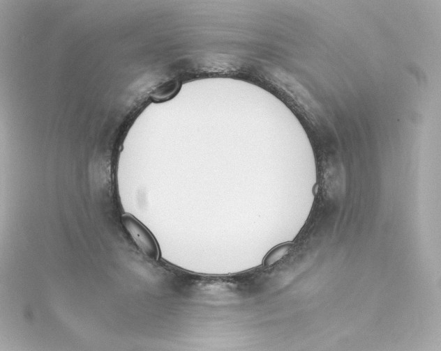 X0000115260407200911271929