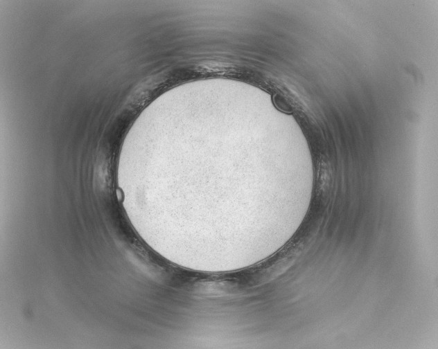 X0000115260408200911271929