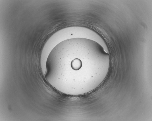 X0000115260409200911271929