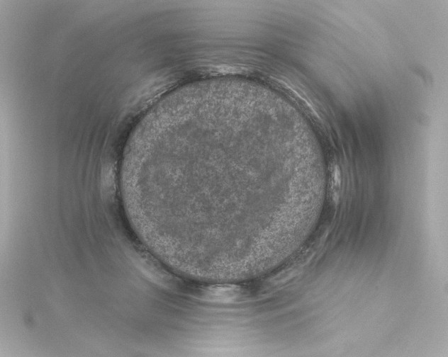 X0000115260410200911271929