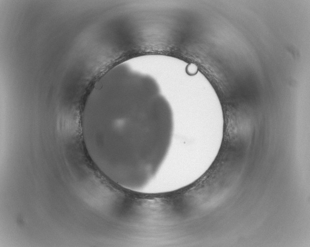 X0000115260411200911271929