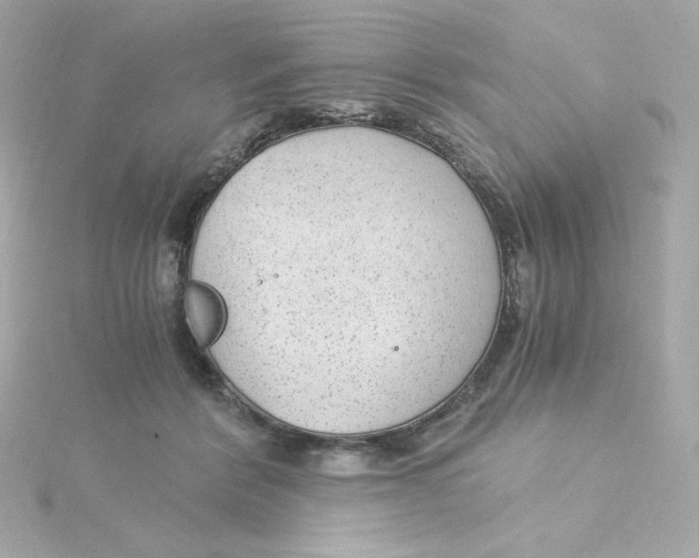 X0000115260412200911271929