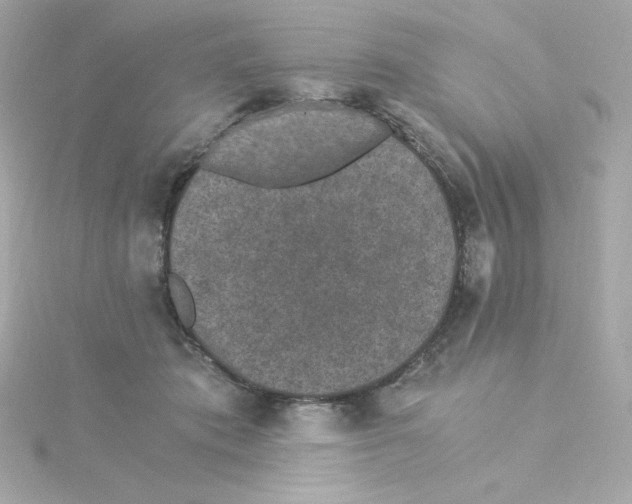 X0000115260413200911271929