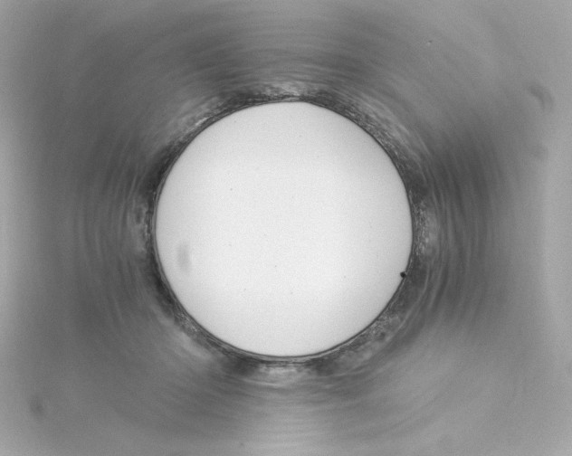 X0000115260414200911271929