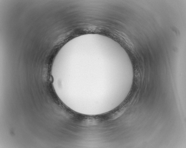 X0000115260416200911271929