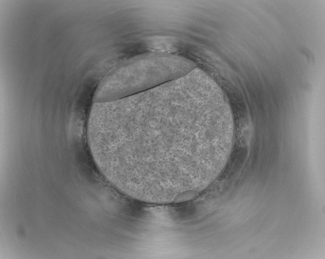 X0000115260417200911271929