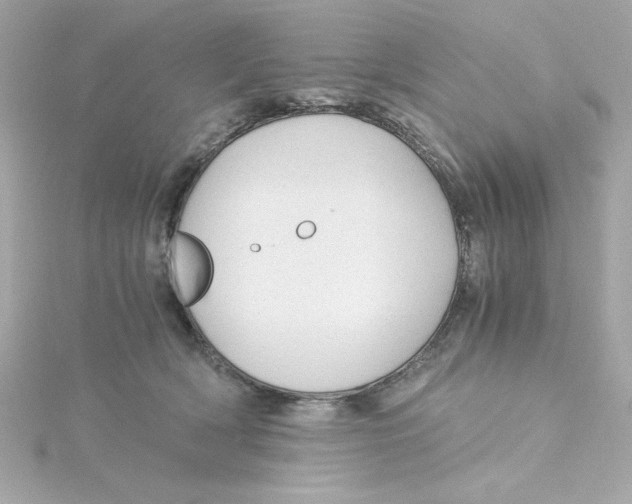 X0000115260418200911271929