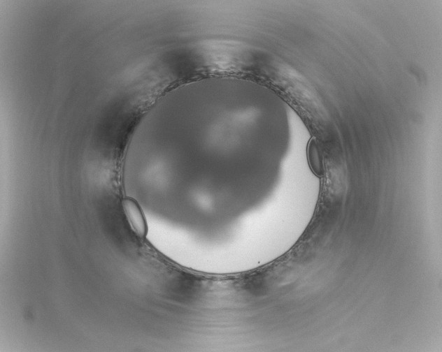 X0000115260419200911271929