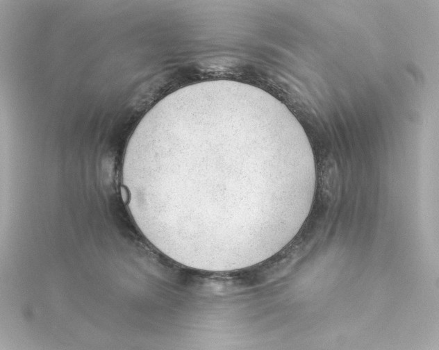 X0000115260420200911271929