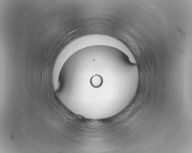 X0000115260421200911271929