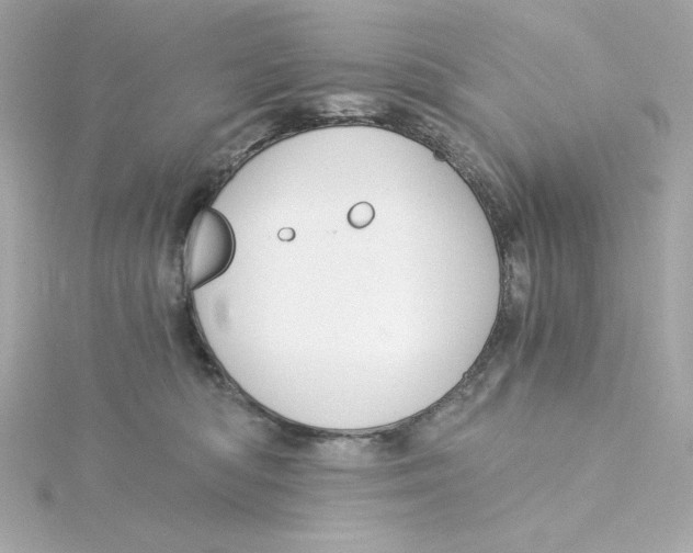 X0000115260422200911271929