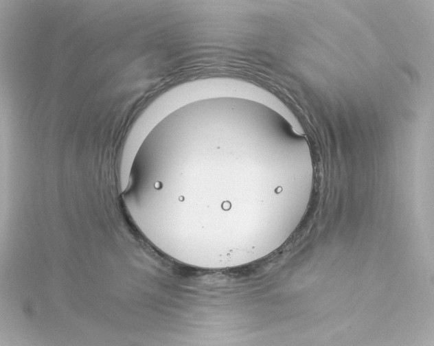 X0000115260423200911271929