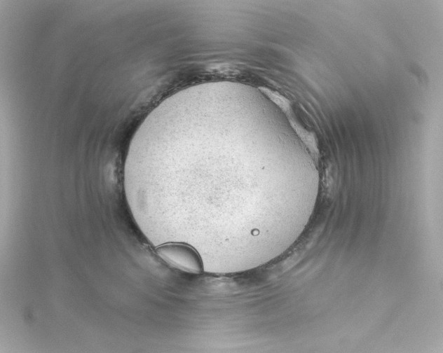 X0000115260424200911271929