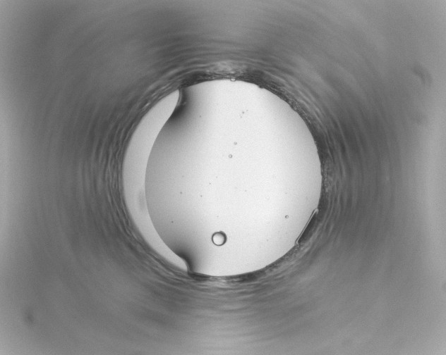 X0000115260425200911271929