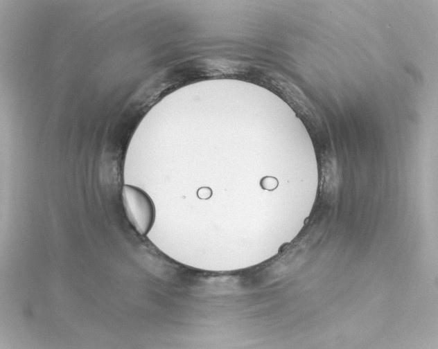 X0000115260426200911271929