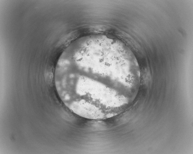 X0000115260427200911271929