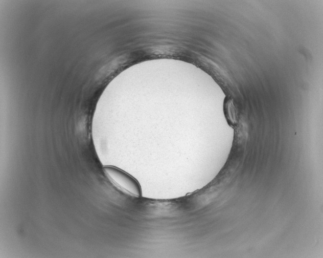 X0000115260428200911271929