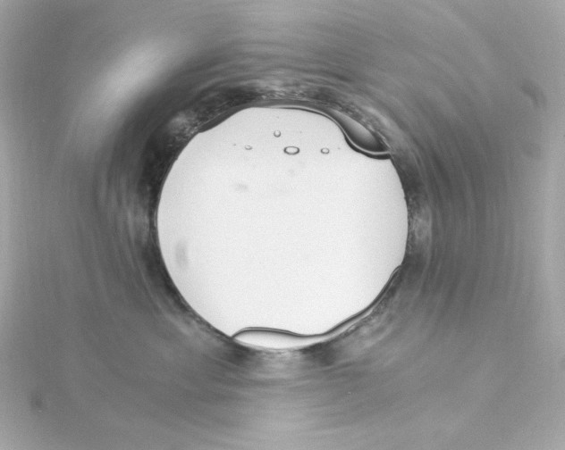 X0000115260429200911271929