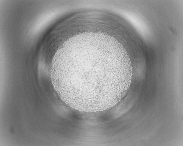 X0000115260431200911271929