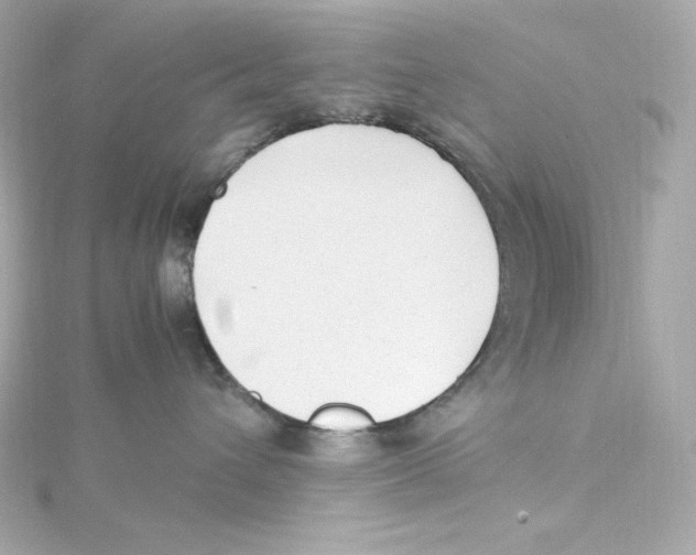 X0000115260432200911271929