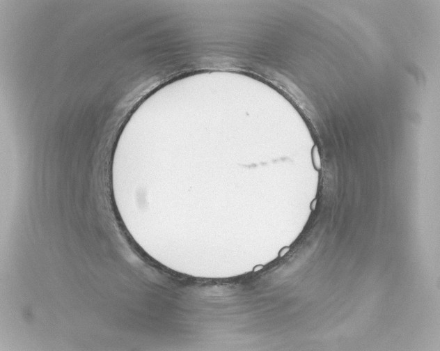 X0000115260433200911271929