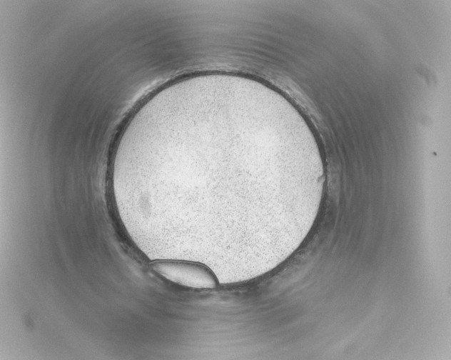 X0000115260434200911271929