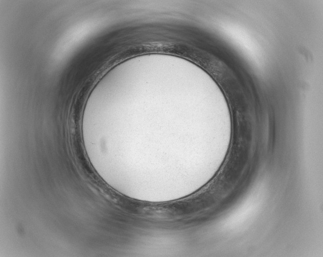 X0000115260435200911271929