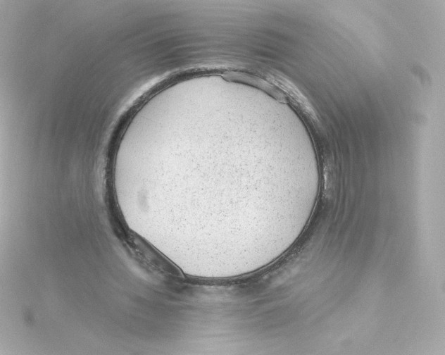 X0000115260436200911271929