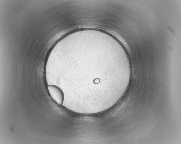 X0000115260437200911271929