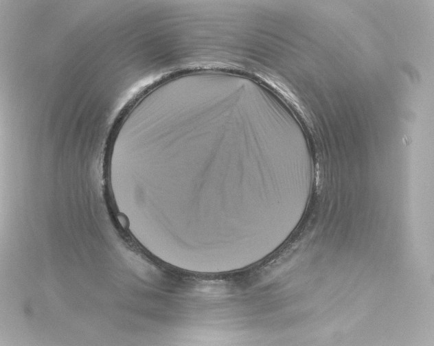 X0000115260438200911271929