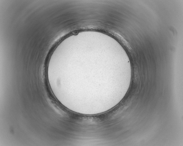 X0000115260439200911271929