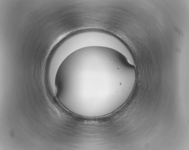 X0000115260440200911271929