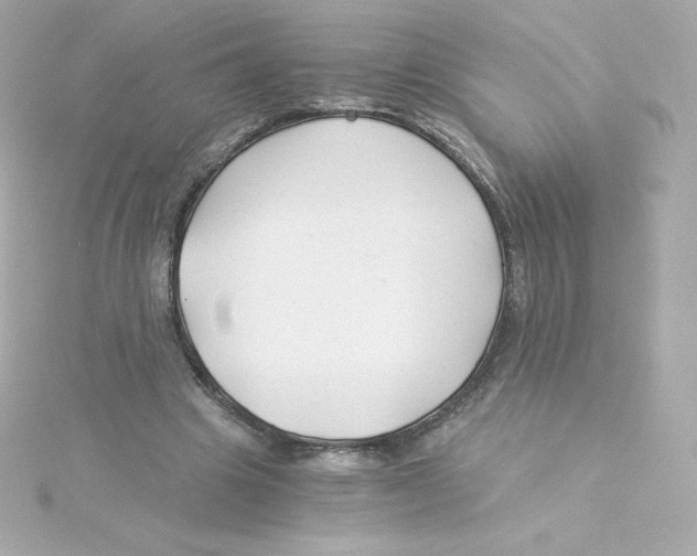 X0000115260441200911271929