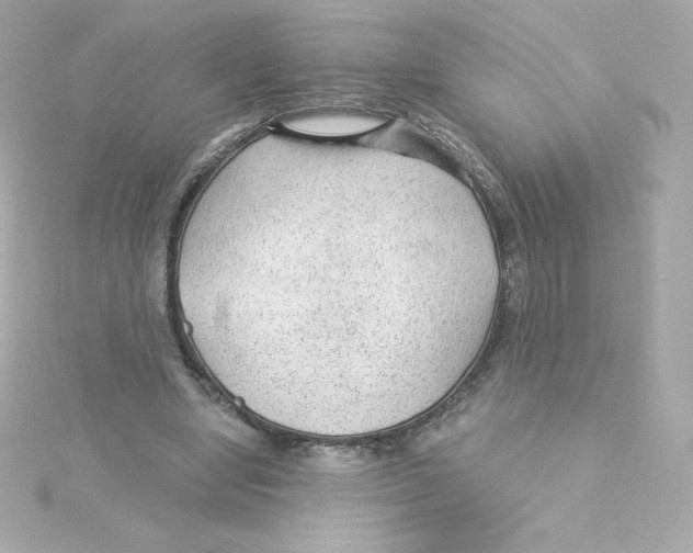 X0000115260442200911271929