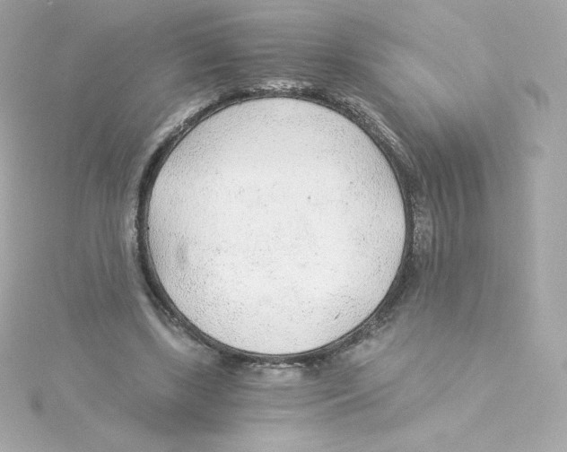 X0000115260443200911271929