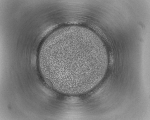 X0000115260444200911271929