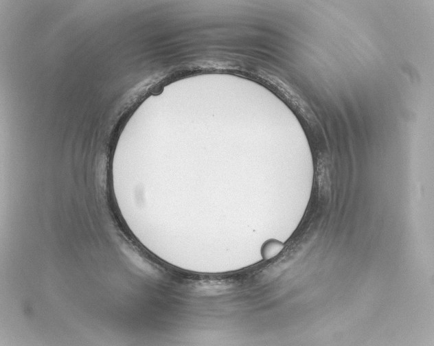 X0000115260445200911271929