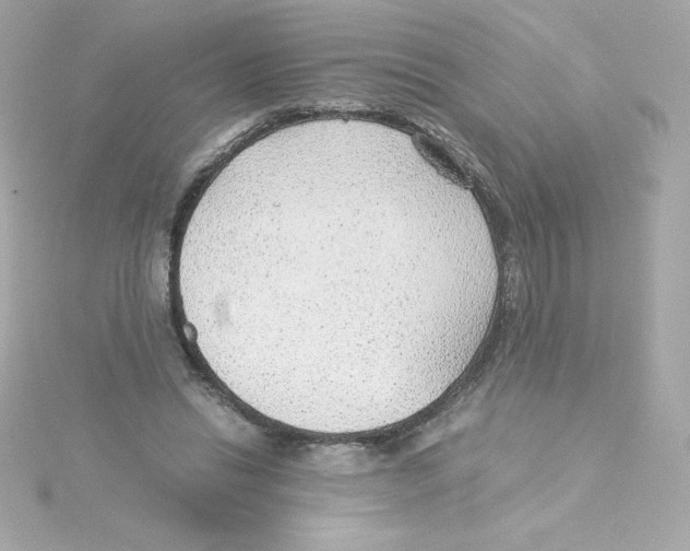 X0000115260446200911271929