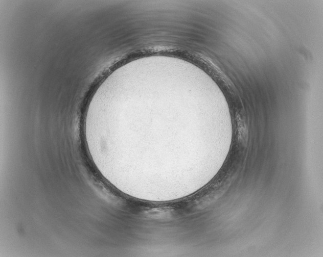 X0000115260447200911271929