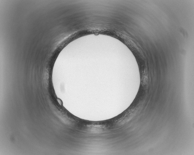 X0000115260448200911271929