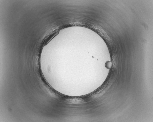 X0000115260449200911271929