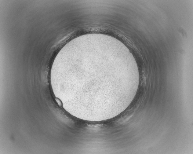 X0000115260450200911271929