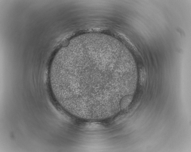 X0000115260451200911271929